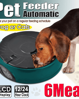 Popamazing 6 Days Cat + Dog + Rabbit Meal Automatic Pet Feeder Auto Dispenser (Yellow)