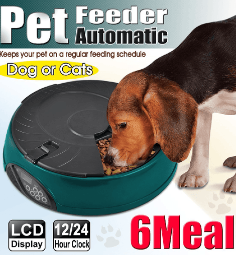 Popamazing 6 Days Cat + Dog + Rabbit Meal Automatic Pet Feeder Auto Dispenser (Yellow)